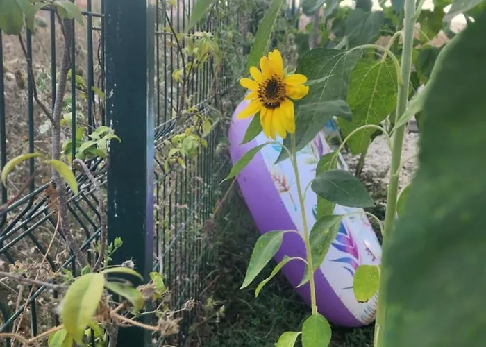 Uniklajd Villa-s Golem (Tirana)